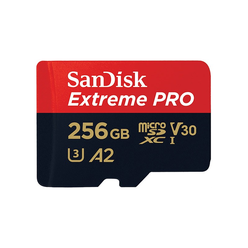 Carte mémoire microSDXC™ 256 go SanDisk Extreme pro